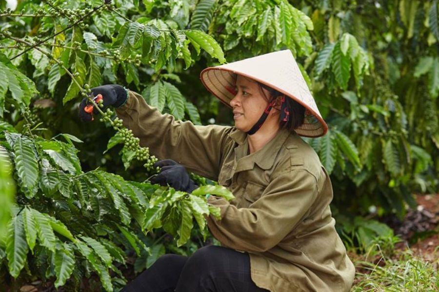 8/3 là ngày để chúng ta nhìn lại mọi sự nổ lực của chị em phụ nữ trong cuộc sống.